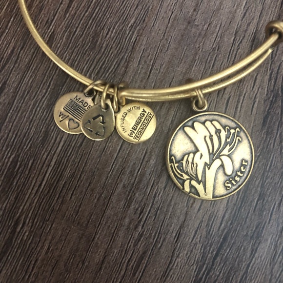 Alex and Ani sister Bangle - Picture 3 of 3